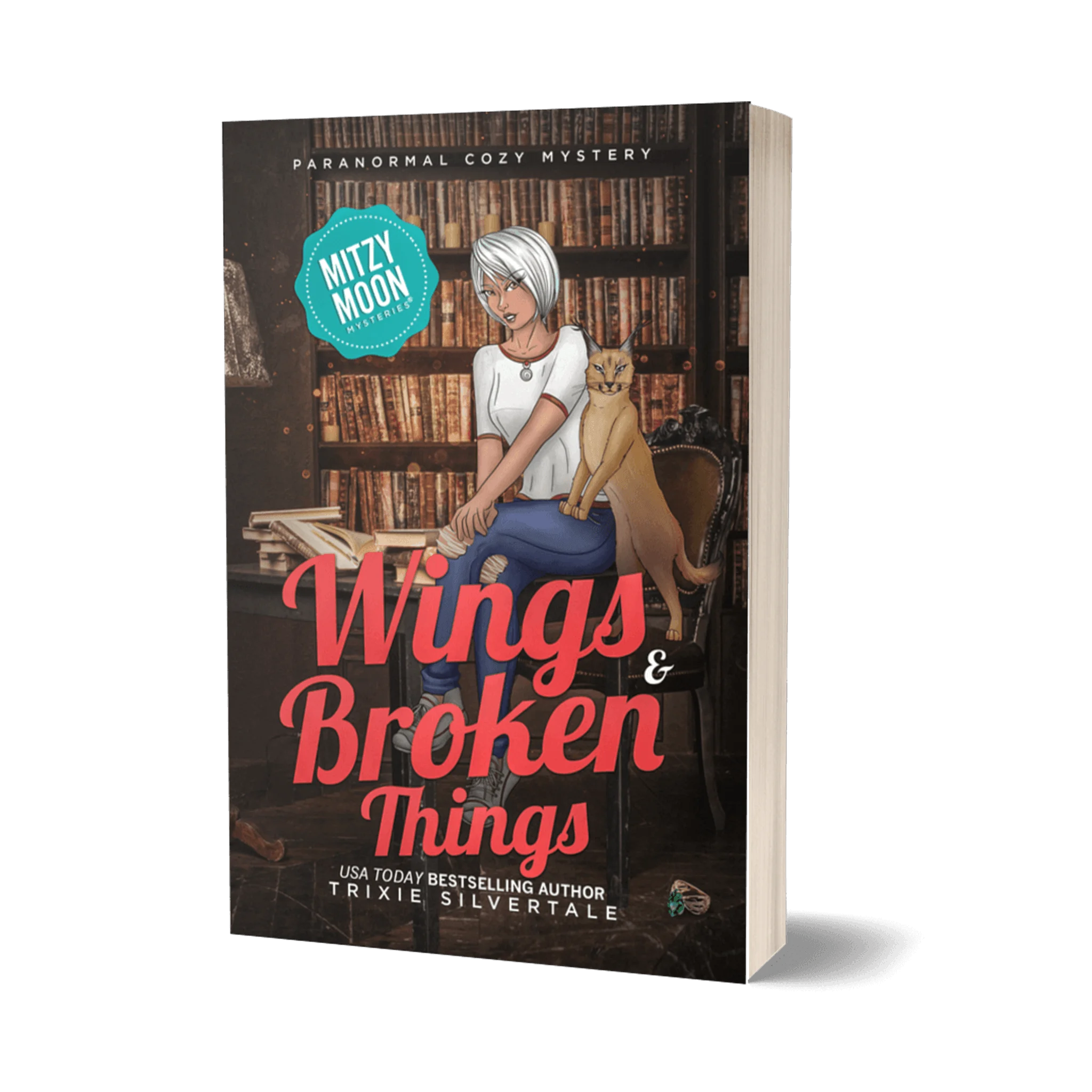 Wings and Broken Things: Paranormal Cozy Mystery (paperback)